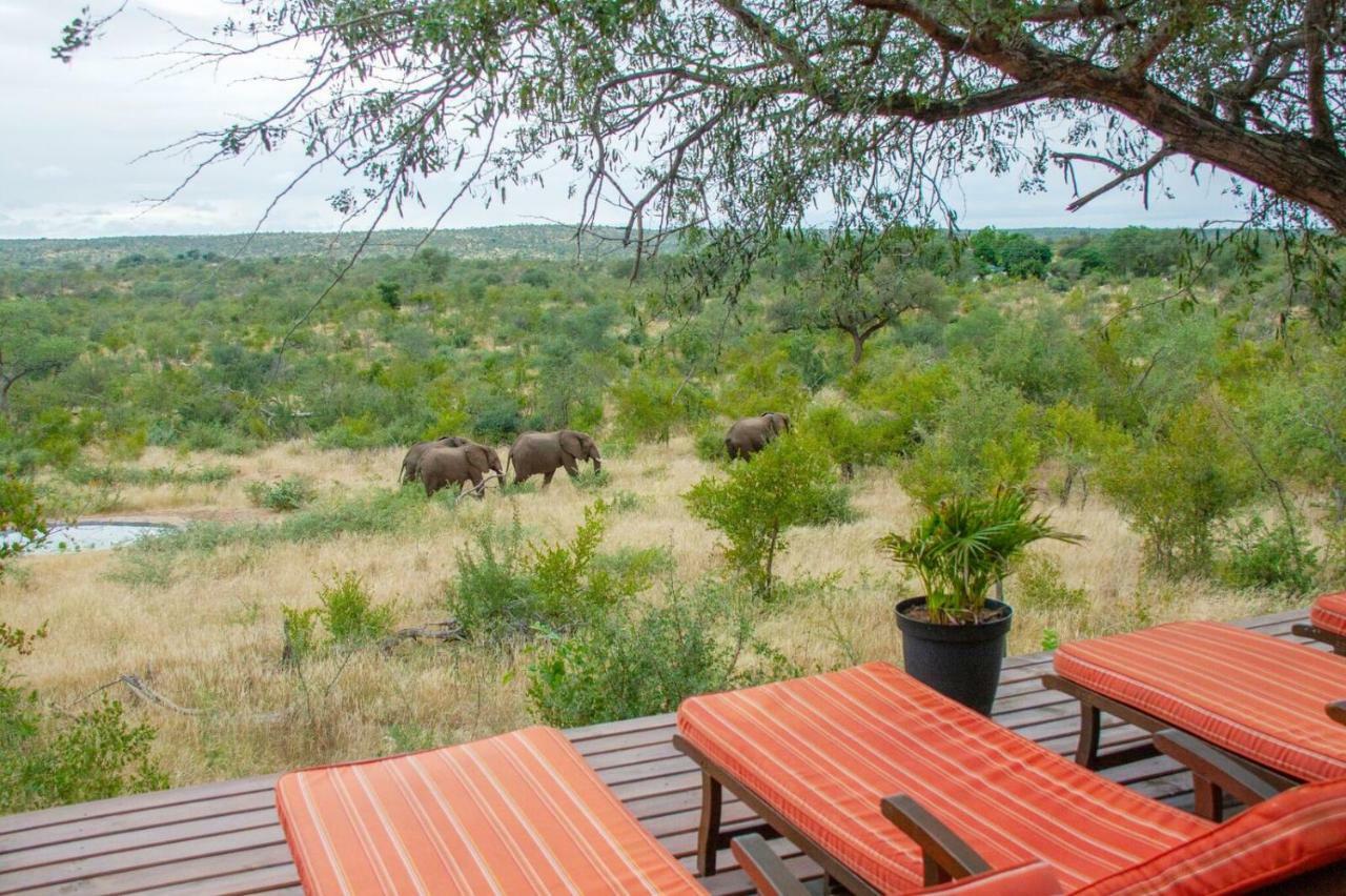 Casart Game Lodge Grietjie Game Reserve エクステリア 写真
