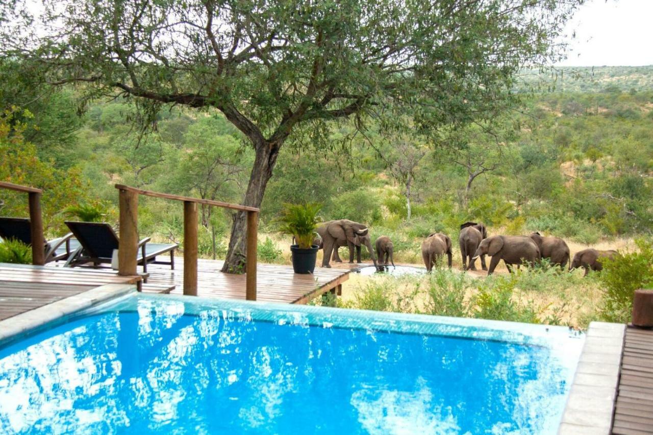 Casart Game Lodge Grietjie Game Reserve エクステリア 写真