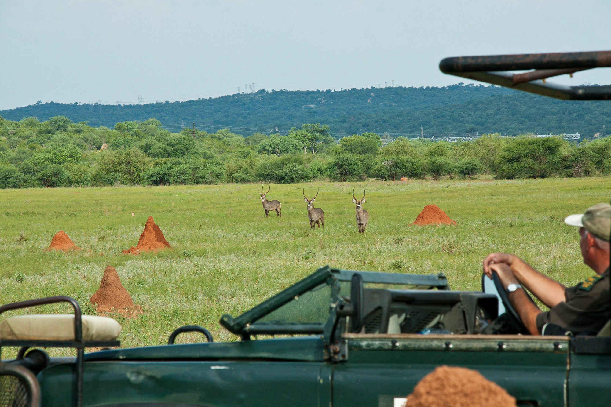 Casart Game Lodge Grietjie Game Reserve エクステリア 写真
